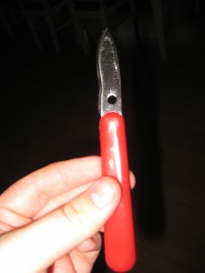 IMG 1212 225x300 Ostkniv